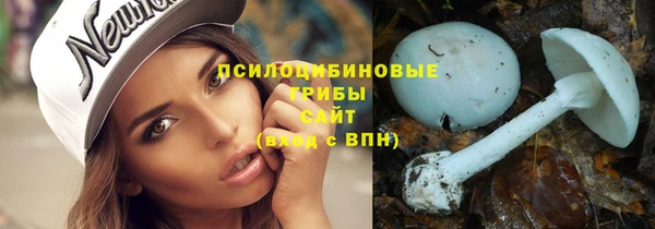 прущий лед Магас