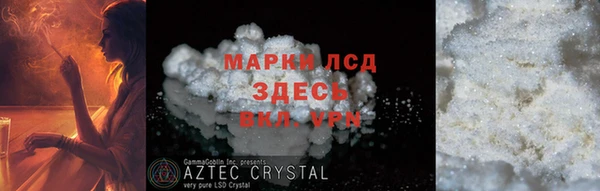 гашик Майский