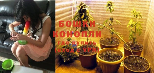 гашик Майский