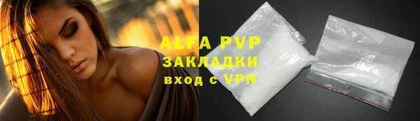 гашик Майский