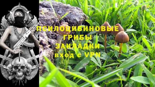 гашик Майский