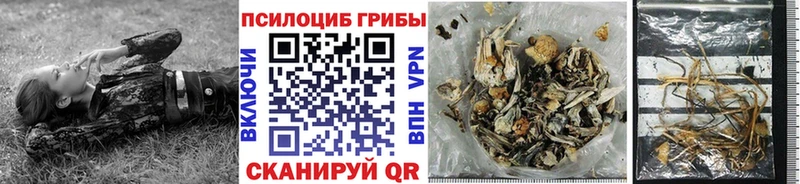 Галлюциногенные грибы GOLDEN TEACHER  гидра рабочий сайт  Усть-Кут 