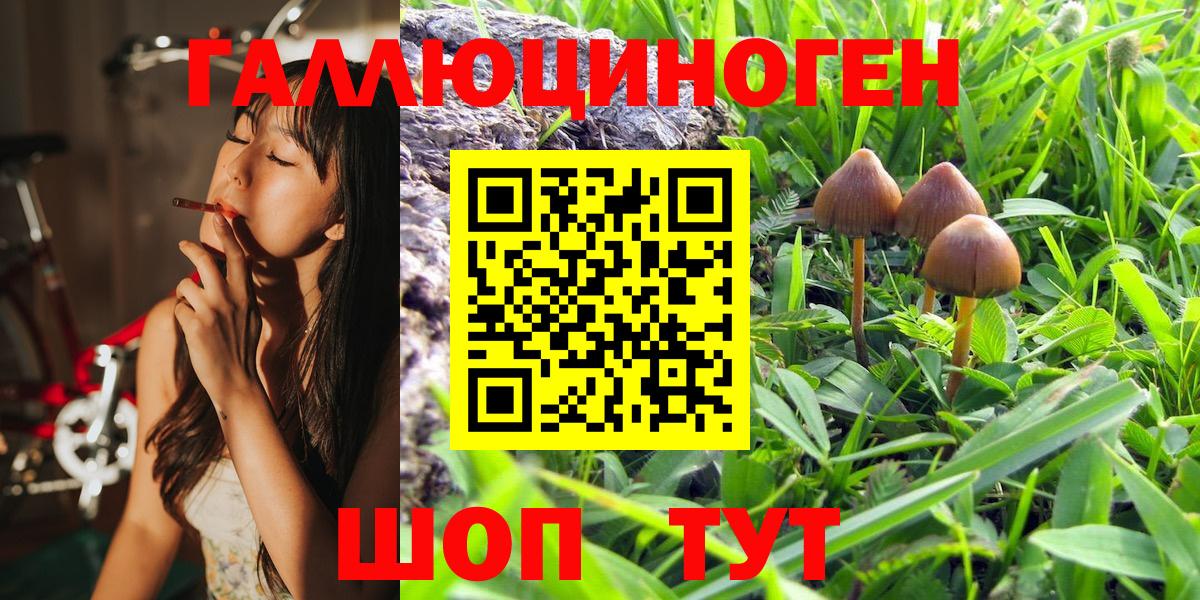 Галлюциногенные грибы GOLDEN TEACHER  Усть-Кут 