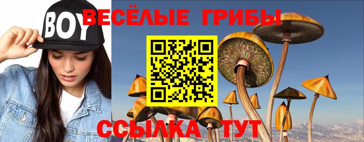 Псилоцибиновые грибы мухоморы Усть-Кут