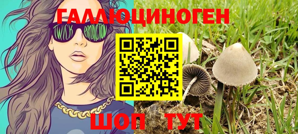 Усть-Кут  Галлюциногенные грибы GOLDEN TEACHER  Вход с VPN  Галлюциногенные грибы Cubensis 